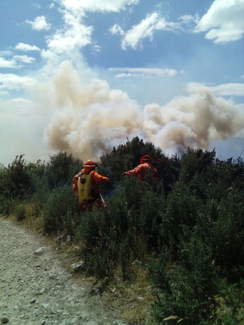 Incendios forestales en la ciudad de Bogotá