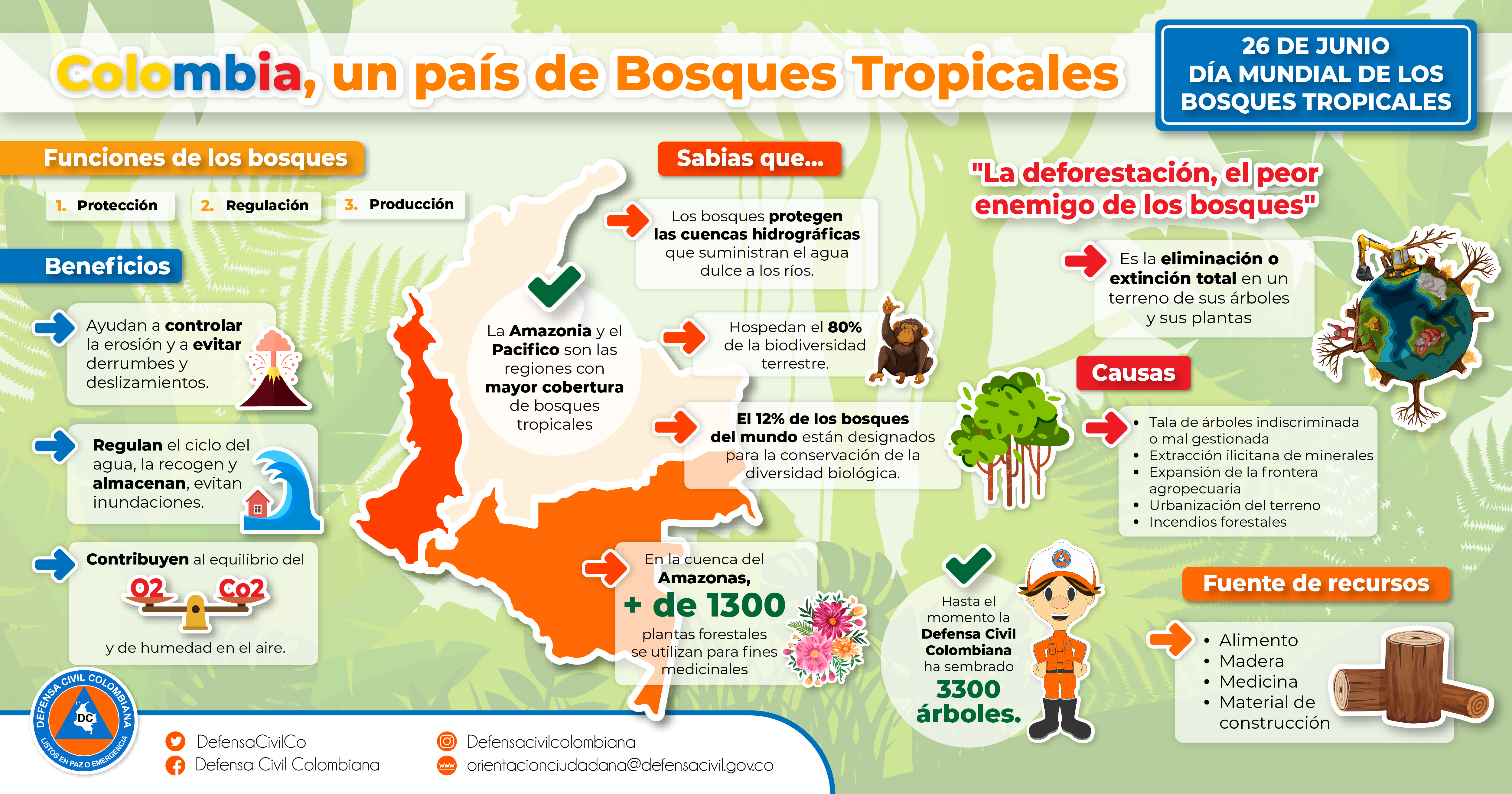 Día Mundial de los Bosques Tropicales