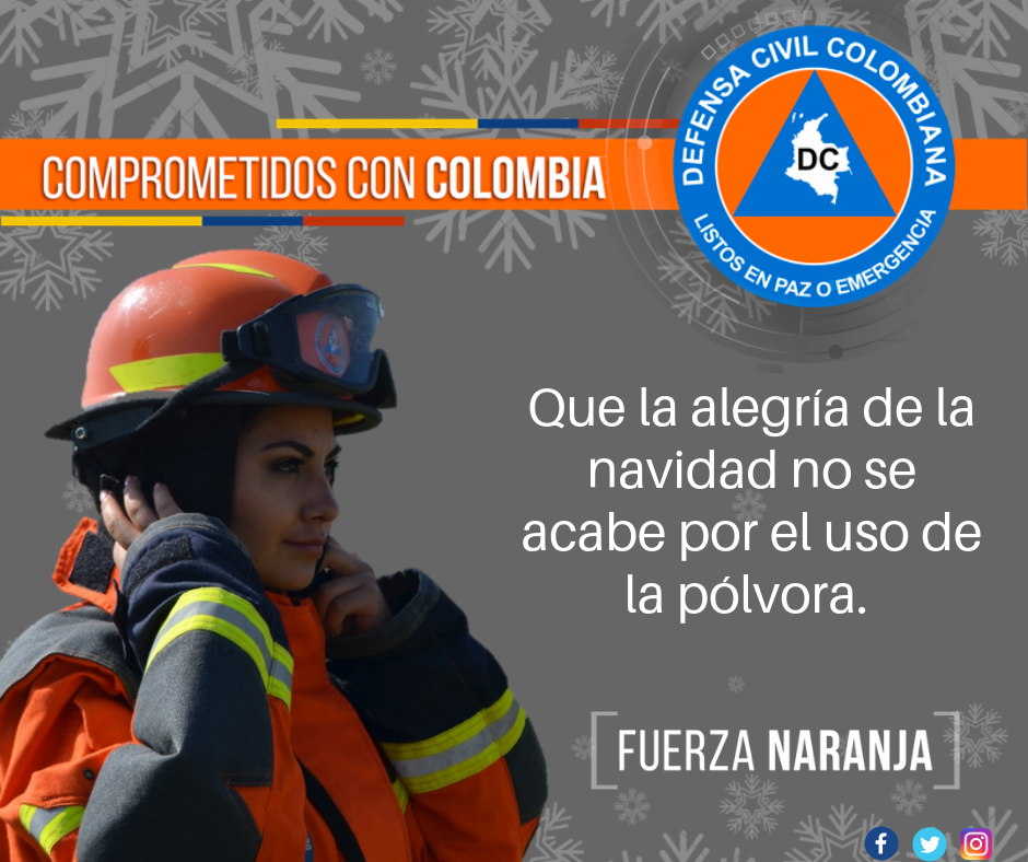 Campaña de Navidad Segura