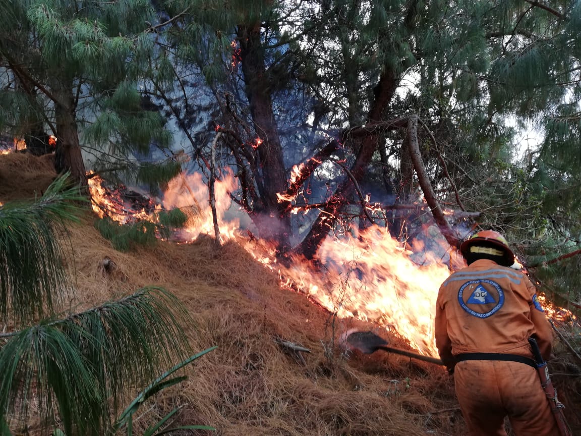 Brigadistas Forestales continúan apoyando extinción de Incendio Forestal en Ciudad Bolívar