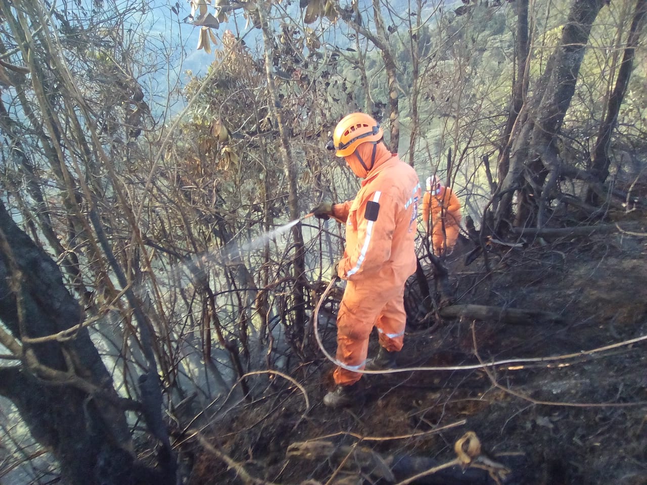Defensa Civil extinguió 22 incendios forestales en las últimas 24 horas