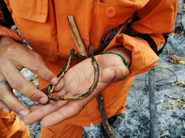 Defensa Civil Colombiana evalúa daños al ecosistema de Honda tras incendios forestales en dos veredas